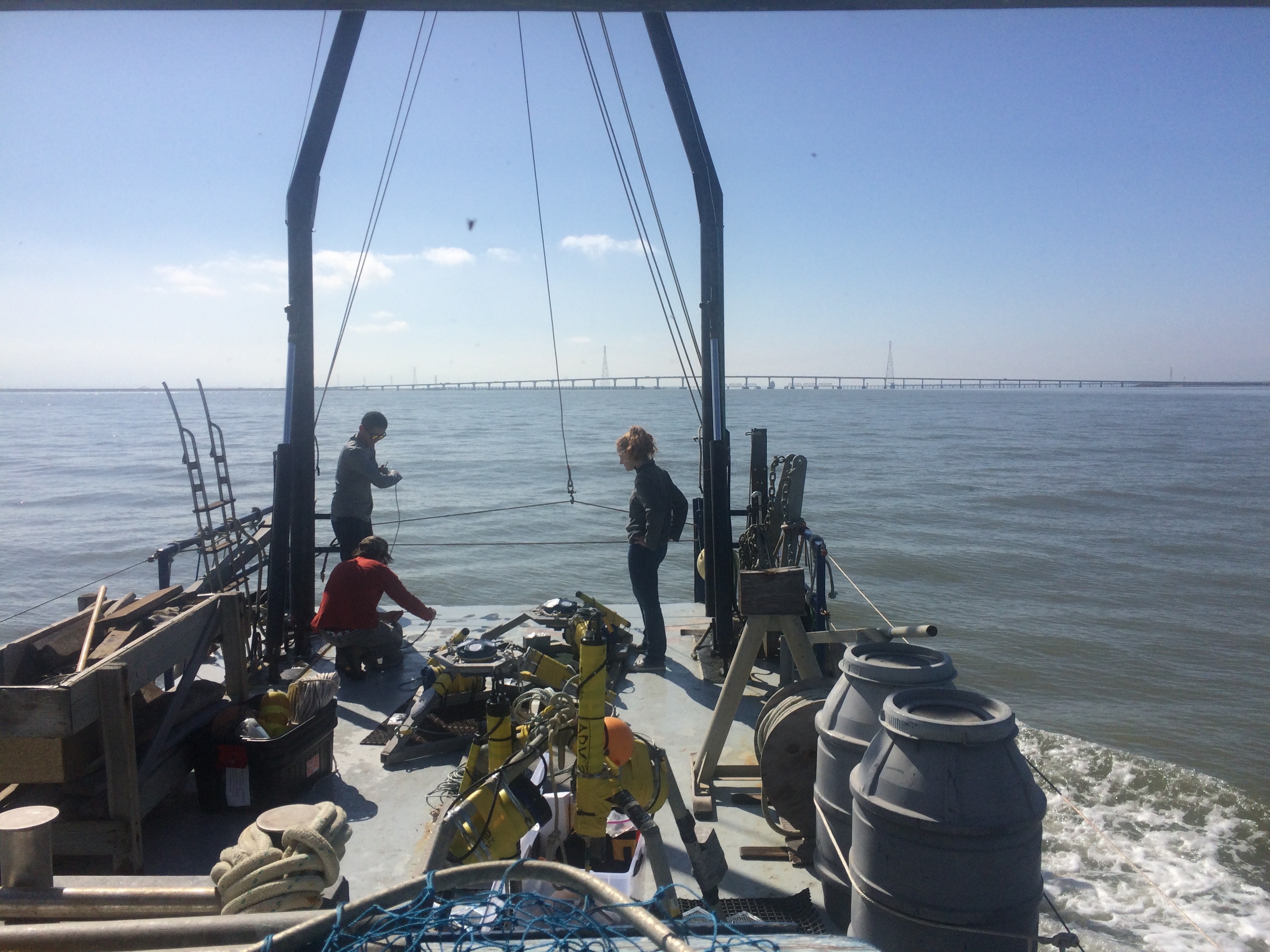 Fieldwork on San Francisco Bay 